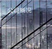 公司概况
